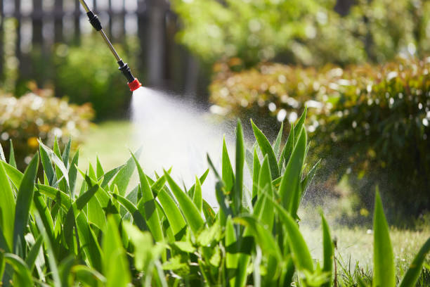 Tamper-Resistant Bait Stations for Rodents in Rector