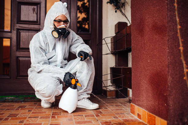 Attic and Crawl Space Rodent Treatment in Rector